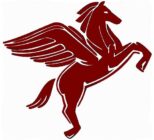Pegasus Running Club Cardiff